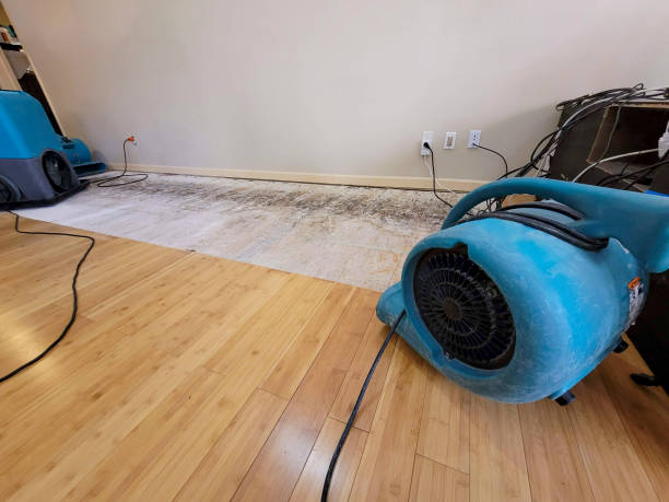 Professional Water Damage Repair technician working in Sun, LA
